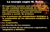 La energía según W. Reich - WordPress.com...La energía según W. Reich •El organismo humano está dotado al nacer de una cantidad determinada de energía. Se puede aumentar por