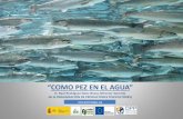 COMO PEZ EN EL AGUA · Horario AMPPA (Asociación de Mayoristas de Pescado del Principado de Asturias) –Parque Empresarial de Asipo –c/.Secundino Roces Riera nº 3 –2º planta