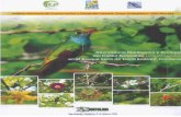 ESTUDIO: ABUNDANCIA, DISTRIBUCIÓN Y ECOLOGIA DEL … · 2019. 8. 1. · 3 Abundancia, Distribución y Ecología del Colibrí Esmeralda (Amazilia luciae) en el Bosque Seco de Santa