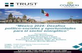 “México 2024: Desafíos político-sociales y oportunidades para el …consejomexicano.org/multimedia/1555956216-532.pdf · 2019. 4. 22. · Carlos Elizondo Mayer-Serra Francisco