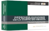 DERECHOS HUMANOS Y LA INTERPRETACIÓN DE LA CORTE EN · 2021. 1. 18. · DERECHOS HUMANOS Y LA INTERPRETACIÓN DE LA CORTE EN MÉXICO Antecedentes de las autoras ANTECEDENTES DE LAS