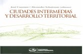 José Canziani 1 Alexander Schejtman (editores) CIUDADES ......Ciudad y territorio en los Andes. Contribuciones a la historia del urbanismo prehispánico (2009). ALExANoER SCHEJTMAN