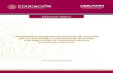 Educación Básica · 2021. 1. 18. · Lineamientos generales del proceso de selección para la promoción a funciones de dirección y de supervisión en Educación Básica (Promoción