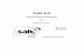 Universitat d’Alacant · 2011. 4. 8. · Salt 4.0 Robert Escolano Universitat d’Alacant 2011 3 1. Introducció El Salt (traductor i corrector de valencià) és un programa de