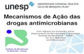 Mecanismos de Ação dos Antimicrobianos - Unesp · 2016. 6. 8. · Mecanismos de Ação das drogas antimicrobianas Prof. Adjunto Ary Fernandes Junior Departamento de Microbiologia
