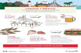 CANADÁ Y MÉXICOhacer la telera de pan y la carne de res y carne de cerdo canadiense completan la torta perfecta La Torta: Platillo popular de la gastronomía mexicana Canadá: 2ndo