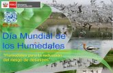 Ministerio de la Producción - PRODUCE - “Humedales para la ......Ministerio del Ambiente y el Comité Nacional de Humedales, quienes organizarán en Lima una jornada de conferencias,