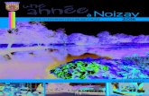 ennee - Noizay · 2017. 6. 29. · Tél. 02 47 52 09 03. 3 2016 UNE ANNÉE À NOIZAY EDITORIAL • Mairie Tél. 02 47 52 11 06 - Fax 02 47 52 08 73 contact@mairiedenoizay.fr ... Projectil
