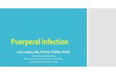 Puerperal infection - WordPress.com€¦ · Puerperal infection “puerperal infection” describes any bacterial infection of the genital tract after delivery. Puerperal Fever a