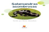 Salamandras asombrosas - Despegando Hacia La Lectura · lisa y espina dorsal, que suele poner sus huevos en el agua. branquias Los órganos que permiten a los animales respirar bajo