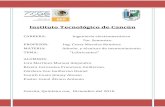 Instituto Tecnológico de Cancún - Monografias.com...agentes oleaginosos o aceites de origen animal o vegetal. Las moléculas de estos lubricantes son de tipo polar y poseen una gran