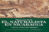 El naturalista en Nicaragua Thomas Belt Parte 1 ... · La Colección Cultural de Centro América~para desempeñar sus ... El libro también discute temas que fueron muy debatidos