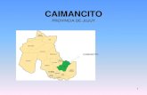 CAIMANCITO - Salud Jujuysalud.jujuy.gob.ar/wp-content/uploads/sites/14/... · 5 2. demografia poblaciÓn total: 5713 urbana 98,20 % rural 1,8% poblacion indÍgena: pueblo guarani,