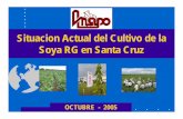 SituacionActual del Cultivo de la Soya RG en Santa Cruz. ZABALA PRODUCC DE... · 2006. 2. 8. · Fuente : IBCE -CADEX Elaboración : ANAPO - 20 40 60 80 100 120 140 160 180 200 220