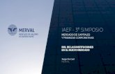 SLIDEDIZER PHOENIX & CO. - IAEF | Instituto Argentino De Ejecutivos De Finanzas · 2017. 3. 17. · Y FINANZAS CORPORATIVAS ROL DE LAS INSTITUCIONES EN EL NUEVO MERCADO Jorge De Carli