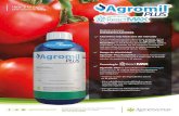 Agroenzymas® / Maximizamos el valor de tus cultivos agrícolas...1 1- 1.5 2.5 1.5 - 1- 2.5 1.5 Efecto de las aplicaciones de Agromil@ Plus ReactMax sobr el peso de la sorosis, corona