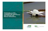Esta publicación se desarrolla en el marco del proyecto ......Esta publicación se desarrolla en el marco del proyecto Integración de las Áreas Protegidas del Bioma Amazónico -