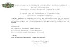 UNIVERSIDAD NACIONAL AUTÓNOMA DE NICARAGUA (UNAN … · 2017. 9. 13. · UNIVERSIDAD NACIONAL AUTÓNOMA DE NICARAGUA (UNAN-MANAGUA) RECINTO UNIVERSITARIO RUBEN DARÍO FACULTAD DE