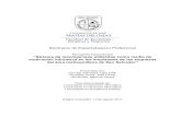 Seminario de Especialización Profesional · 2012. 5. 9. · Seminario de Especialización Profesional Monografía Especializada “Sistema de recompensas utilizados como medio de