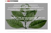 MINISTERIO DEL AMBIENTE · 2017. 6. 3. · “guia de evaluaciÓn de la flora silvestre” direcciÓn general de evaluaciÓn, valoraciÓn y financiamiento del patrimonio natural 1