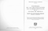 PANORAMA DE LAS ORGANIZACIONES NO …ru.iis.sociales.unam.mx/bitstream/IIS/5327/1/panorama_organizaciones.pdfAlicia Ziccardi, et al., Casa a los damnificados, México, us-UNAM, 1986.