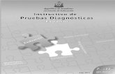 Instructivo deInstructivo de Pruebas Diagnósticas · 2021. 2. 1. · En el campo de Español, las Pruebas Diagnósti cas de 7mo a 11mo grado constan de 22 ítems (20 ítems de lectura