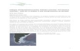 parque marino costero - patagonia3mil.com.ar€¦ · desaparecer en otoño (Akselman es citado por Vinuesa, 2005), determinando así la existencia de dos intensos picos de producción