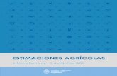 ESTIMACIONES AGRÍCOLAS - Argentina.gob.ar · En la zona de Bahía Blanca, la cosecha se encuentra en las instancias finales, con rindes que promedian los 13 qq/ha, y valores extremos