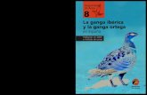 La ganga ibérica y la ganga ortega - SEO/BirdLife · La ganga ibérica y la ganga ortega en España PRÓLOGO El nido de la ortega… o la metáfora de un drama Vestidas de tierra