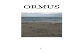 ORMUS · El Ormus se extrae del agua de mar y es su residuo seco sin la sal, es decir, es un compuesto multimineral que contiene el total de los minerales que se concentran en el