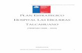 planif estrat - Hospital Las Higueras · 2013. 4. 30. · Title: planif_estrat Author: Carolina Jerez Created Date: 5/4/2011 8:25:57 AM