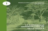 LA EXPERIENCIA AGROECOLOGICA DE VILLA LOYOLA · 2020. 10. 16. · de los suelos corresponden a un taller práctico realizado en Villa Loyola el 2 de septiembre de 2016, tres años