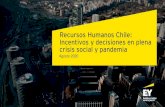 Recursos Humanos Chile: Incentivos y decisiones en plena ......que tome en consideración procedimientos, políticas y cumplimientos de recursos humanos Más del 30% de las empresas