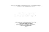 ANALISIS DE VIBRACIONES EN EMBARCACIONES Y EQUIPOS INDUSTRIALES (ESTUDIO DE CASOS)biblioteca.utb.edu.co/notas/tesis/0062701.pdf · 2011. 11. 3. · analisis de vibraciones en embarcaciones