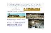ESTAMOS EN SEPTIEMBRE, EL GRANO ESTA RECOGIDO, LA ERA …molinosacem.com/wp-content/uploads/2012/05/28-MOLINUM-n... · 2017. 3. 25. · asociacion para la conservacion y estudio de