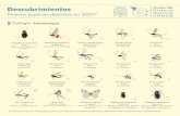 museohn.unmsm.edu.pe · 2020. 12. 30. · Descubrimientos Nuevas especies descritas en Zoología Entomología 2020* desde Museo de Historia Natural UNMSM Mnioes poncei Madre de Dios