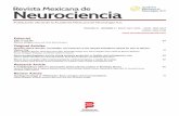 Revista Mexicana de Neurociencia3.Peño IC, De las Heras Revilla V, Carbonell BP, Di Capua Sacoto D, Ferrer ME, García-Cobos R, et al. Neurobehçet disease: Clinical and demographic