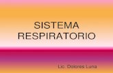 Sistema respiratorio€¦ · Esquema de la Respiración Externa O2 inspirado Pulmones Alveolos por los hasta Capilares En contacto oxigeno Anhídrido carbónico Co2 espirado . Funciones