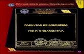 FACULTAD DE INGENIERÍA FICHA ORGANIZATIVAportal.ucv.ve/.../Manuales/Manual_Org_UCV/17_Ingenieria.pdf · 2009. 7. 27. · Universidad Central de Venezuela † Manual de Organización