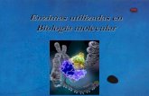 Enzimas utilizadas en biología molecular - Pagina Web de ...ingenieriagenetica-b.web.unq.edu.ar/wp-content/...Enzimas utilizadas en biología molecular Degrada DNA dc, sc ... Endonucleasas