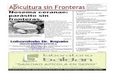Apicultura sin Fronteras · 2020. 9. 30. · APICULTURA SIN FRONTERAS - Edicion Electronica para ser impresa - República Argentina - Año II N° 13 - Mayo 2007 PAGINA 4 PAGINA 6