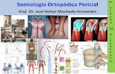 Semiologia Ortopédica Pericial - UFRGS · 2012. 1. 17. · 8- Exame Físico (Inspeção, palpação, amplitude de movimentos, força muscular, sensibilidade, testes dos reflexos,