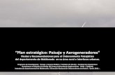 “Plan estratégico: Paisaje y Aerogeneradores”...Pautas y recomendaciones para el Ordenamiento paisajístico del departamento de Maldonado / Plan estratégico Paisaje y Aerogeneradores
