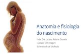 Profa. Dra. Luciana Reberte Gouveia Escola de Enfermagem...Estática fetal •A estática fetal na cavidade uterina deverá ser determinada no início do trabalho de parto •A orientação