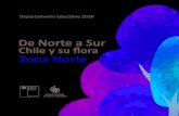 de norte a sur flora chilena zona norte · 2021. 4. 22. · Zona Norte Ecosistema: Para el Ministerio del Medio Ambiente (2018), el norte de nuestro país presenta una extrema aridez