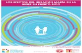 Facultad de Ciencias Sociales - VOLUMEN III: IMPACTOS DEL HURACAN …sociales.uprrp.edu/egts/wp-content/uploads/sites/9/2019/... · 2019. 2. 15. · vulnerabilidades y amortiguadores