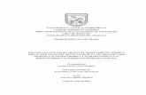 UNIVERSIDAD CATOLICA ANDRES BELLO VICERECTORADO …biblioteca2.ucab.edu.ve/anexos/biblioteca/marc/texto/AAU7651.pdf · Ordenamiento Jurídico por la Aplicación del Artículo 145
