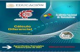 Cálculo Diferencialcbtis286.edu.mx/documentos/cuadernillos/calculo-diferencial-a.pdf · Cálculo Diferencial: Aprendizajes Esenciales DGETI Academia Nacional de Matemáticas 1 Manual