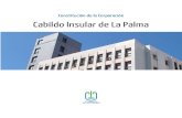 Constitución de la Corporación Cabildo Insular de La Palma...Cabildo Insular de La Palma durante el mandato 2015-2019 6 BORJA PERDOMO HERNÁNDEZ Breña Alta, 1985. Es graduado en