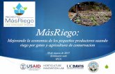 MásRiego³n... · 2019. 12. 22. · Metas Principales S Instalar 2,500 sistemas de riego por goteo en los 12 municipios, representando 100 hectares del terreno. S 2,500 individuales